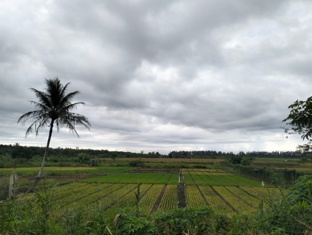 Sumberdaya alam yang ada di desa Mon Mata, Kecamatan Krueng Sabee, Kabupaten Aceh Jaya